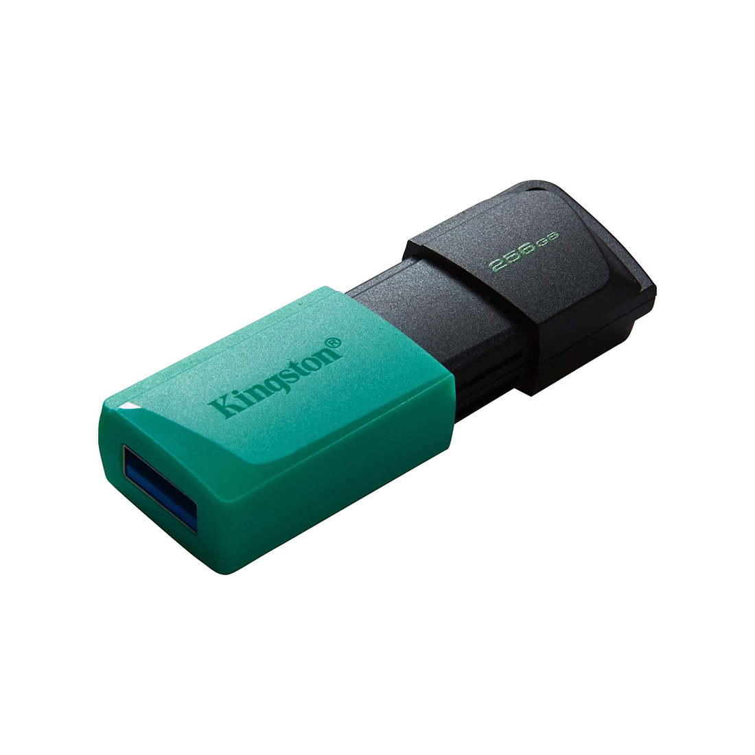 USB-���������� Kingston DTXM/256GB 256GB ���������