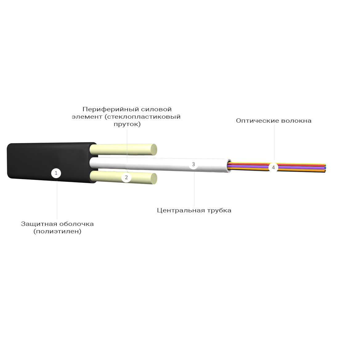 ������ �������������� ��/�2-�-�6-1.2 ��