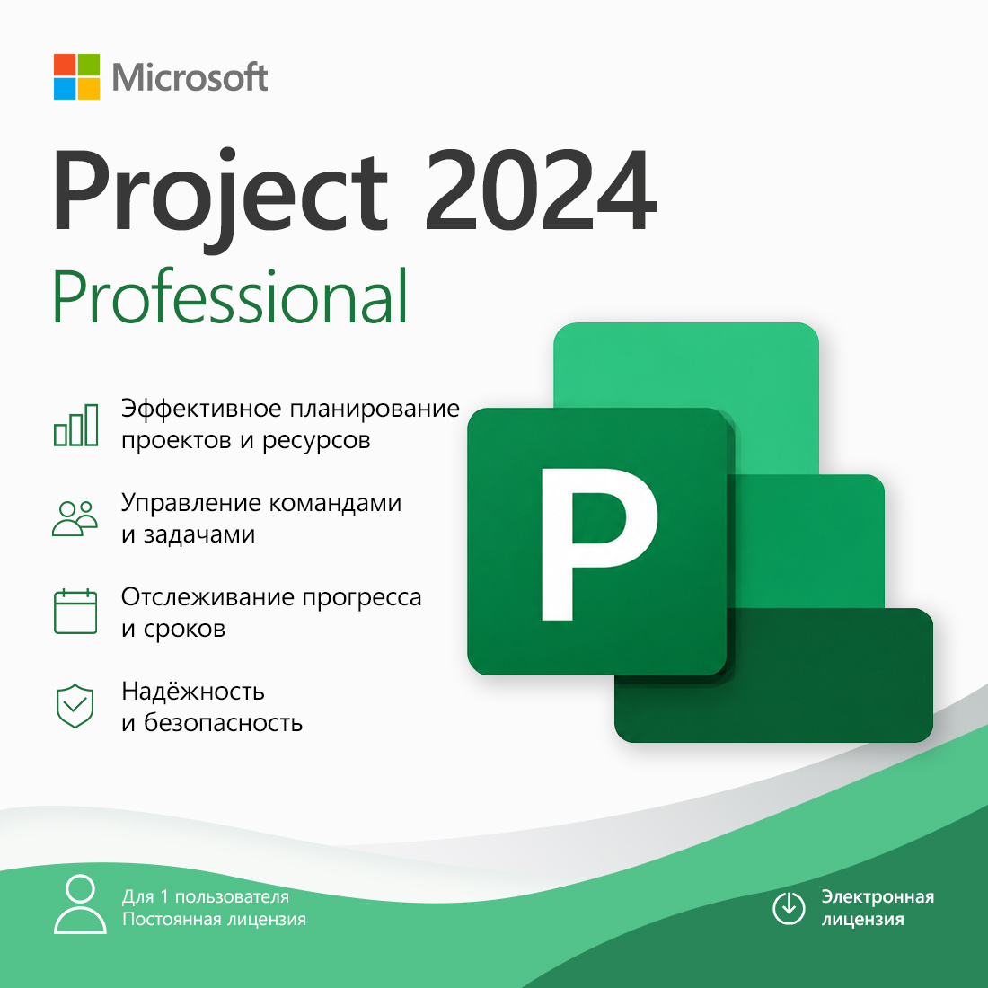 ����������� �������� (ESD ����) Microsoft Project Professional 2024
