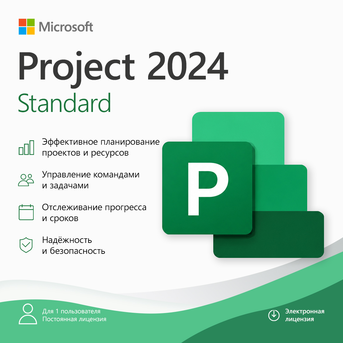 ����������� �������� (ESD ����) Microsoft Project Standard 2024