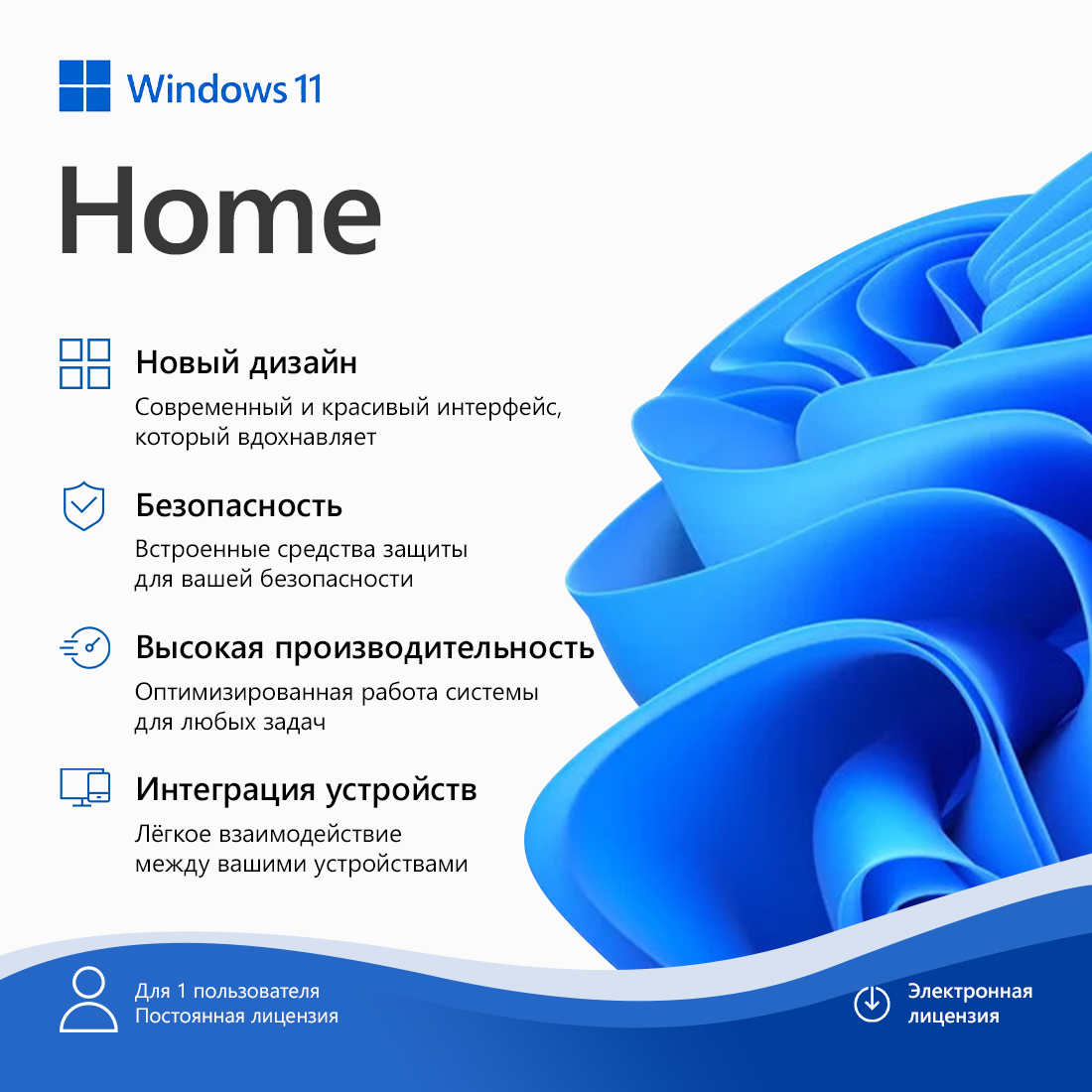 ����������� �������� (ESD ����) Microsoft Windows 11 Home 64Bit